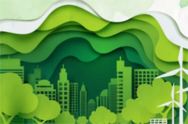 立足我国能源资源禀赋,坚持先立后破,有计划分步骤实施()。