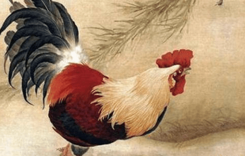 属鸡生在几月特别爱赚钱,下半年生财有道,财源绵绵,别错过 左右财源财如命_属马和属龙的合财吗_属虎的几月出生好