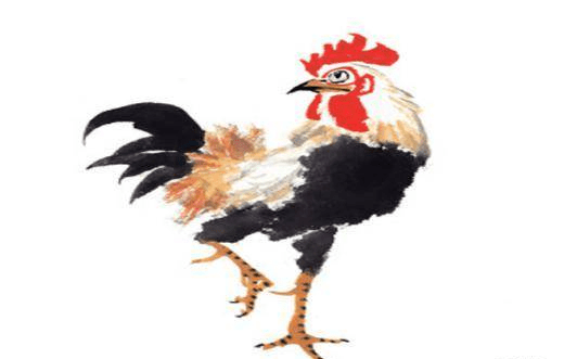 属鸡生在几月特别爱赚钱,下半年生财有道,财源绵绵,别错过 左右财源财如命_属马和属龙的合财吗_属虎的几月出生好