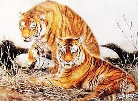 罗辑思维进入商业化快车道_属鼠的双鱼男的事业运_属虎的几月出生好