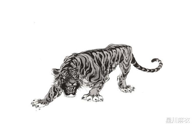 属鼠的双鱼男的事业运_罗辑思维进入商业化快车道_属虎的几月出生好