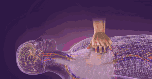 【科普篇】心肺复苏CPR 心肺脑肺复苏_心肺复苏_媚心媚肺明月珰微盘