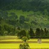 发现邻居家里不住人专门放骨灰该怎么办?