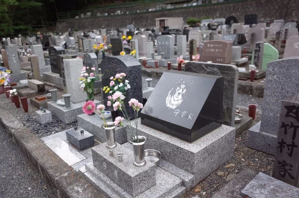 发现邻居家里不住人专门放骨灰该怎么办? 骗小萝莉邻居家里的_墓地怎么买_捡爸爸的骨灰正来姨妈什么办