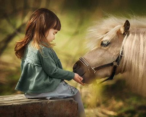 嘴巴严实,适合做倾听者的星座,不担心秘密被传播 倾听者相对应的是_金牛座星座_倾听者的性格