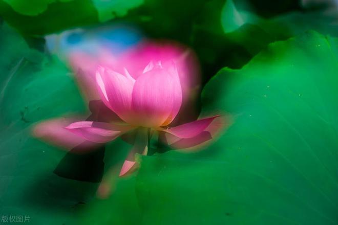 相处越久,对你越好的三大星座 相处越久越喜欢的三大星座_金牛座星座_越相处越觉得厉害的星座