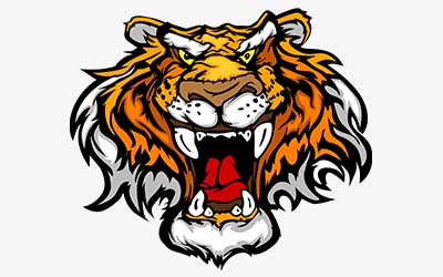 生肖属虎的几月出生最好命又幸运 生肖属虎的几月出生最好命又幸运