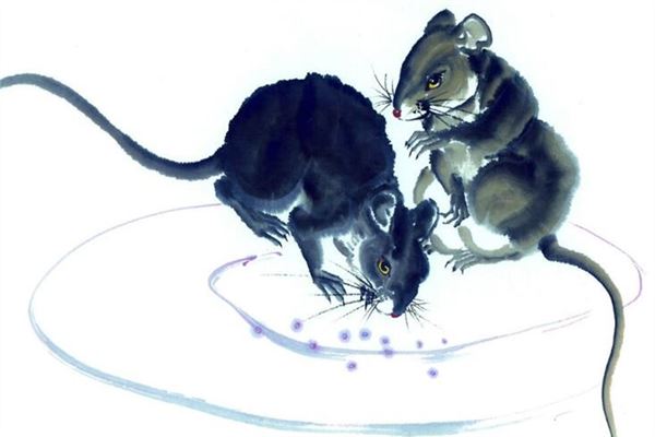 明年是什么生肖年 生肖是年号还是时辰_2019是什么生肖年_生肖是年还是时辰