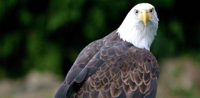 这三大星座太过斤斤计较,性子固执,不懂转弯 金牛座星座_性格比较固执的星座_固执较真的性格怎么办