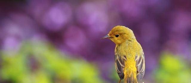 这三大星座太过斤斤计较,性子固执,不懂转弯 性格比较固执的星座_固执较真的性格怎么办_金牛座星座