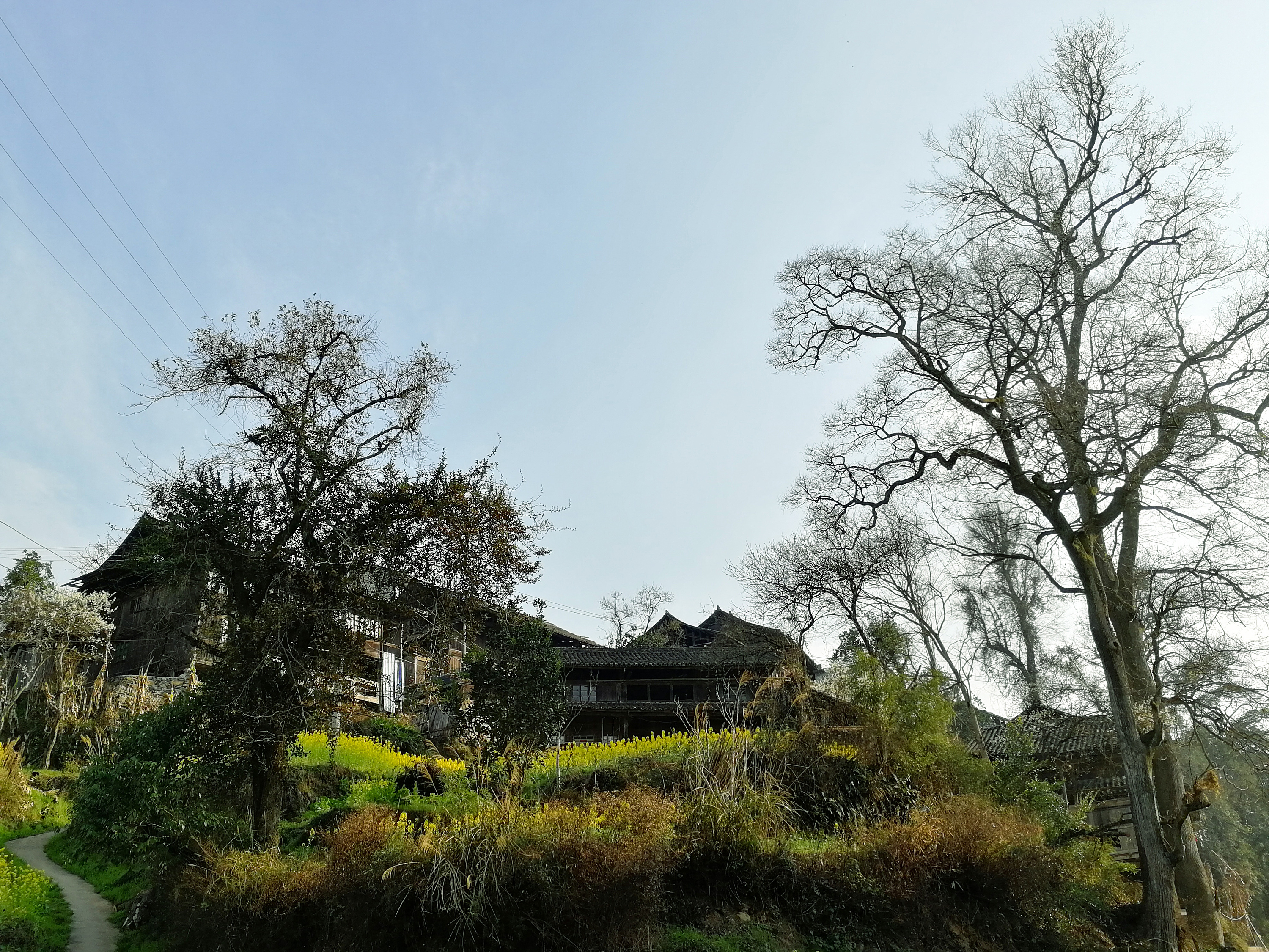 乡村爱情演员去世_乡村爱情已逝演员_乡村爱情演员悼念