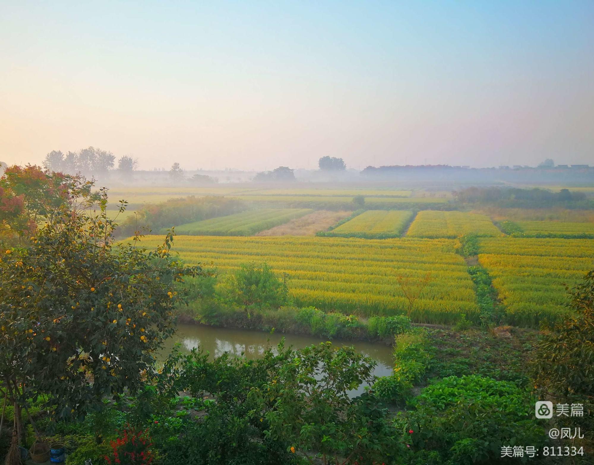 乡村爱情演员悼念_乡村爱情已逝演员_乡村爱情演员去世
