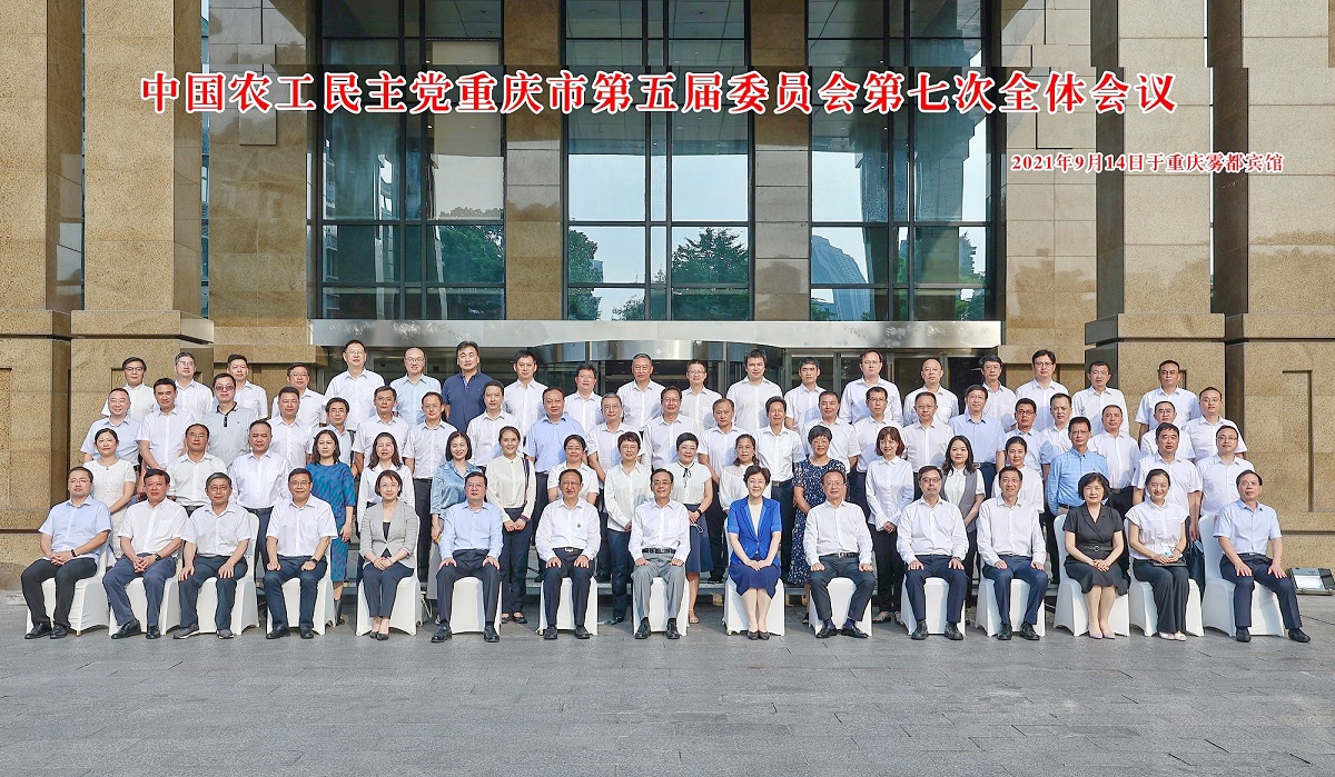 重庆市政协合力找到最大公约数画出最大同心圆 香港党派介绍_香港的党派哪个人数最多_香港党派