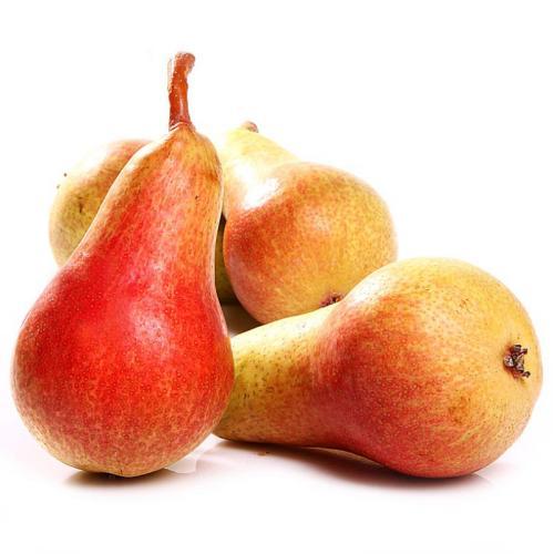 梨种类知多少,24种梨(配图)看你见过几种? 厚皮椒怎么腌制方法_厚皮_厚皮菜