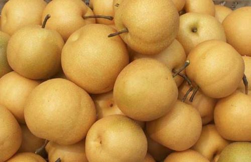 梨种类知多少,24种梨(配图)看你见过几种? 厚皮菜_厚皮椒怎么腌制方法_厚皮