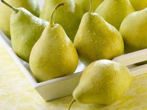 梨种类知多少,24种梨(配图)看你见过几种? 厚皮_厚皮椒怎么腌制方法_厚皮菜