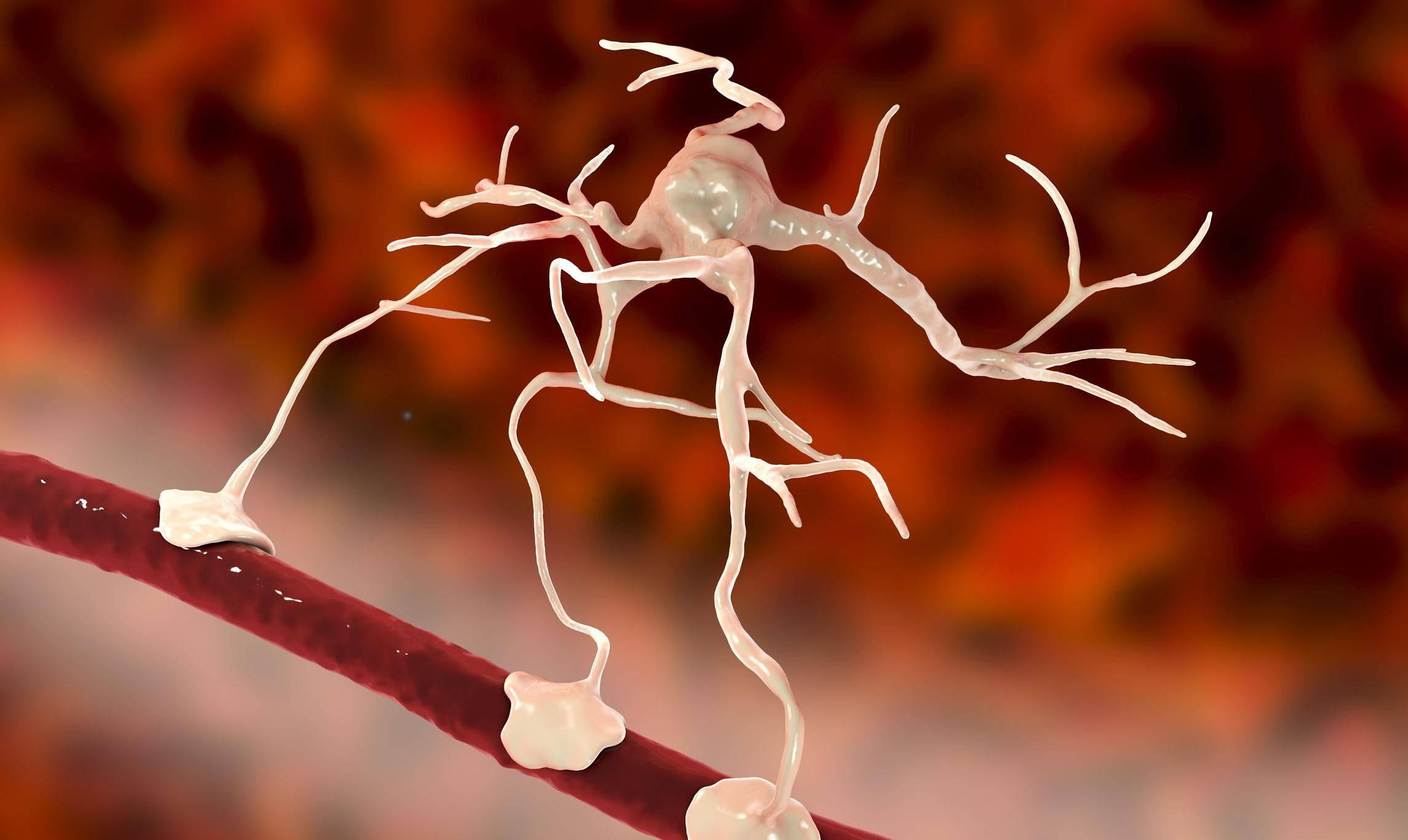 含钙高的食物_吃钙补钙是最大骗局_补钙吃钙片真的有用吗