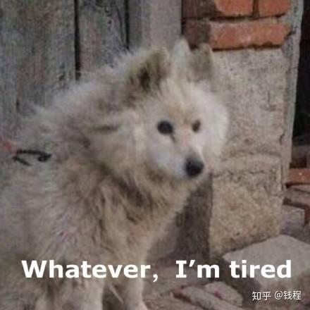 日报杂志_人民日报知乎_洋快餐的危害