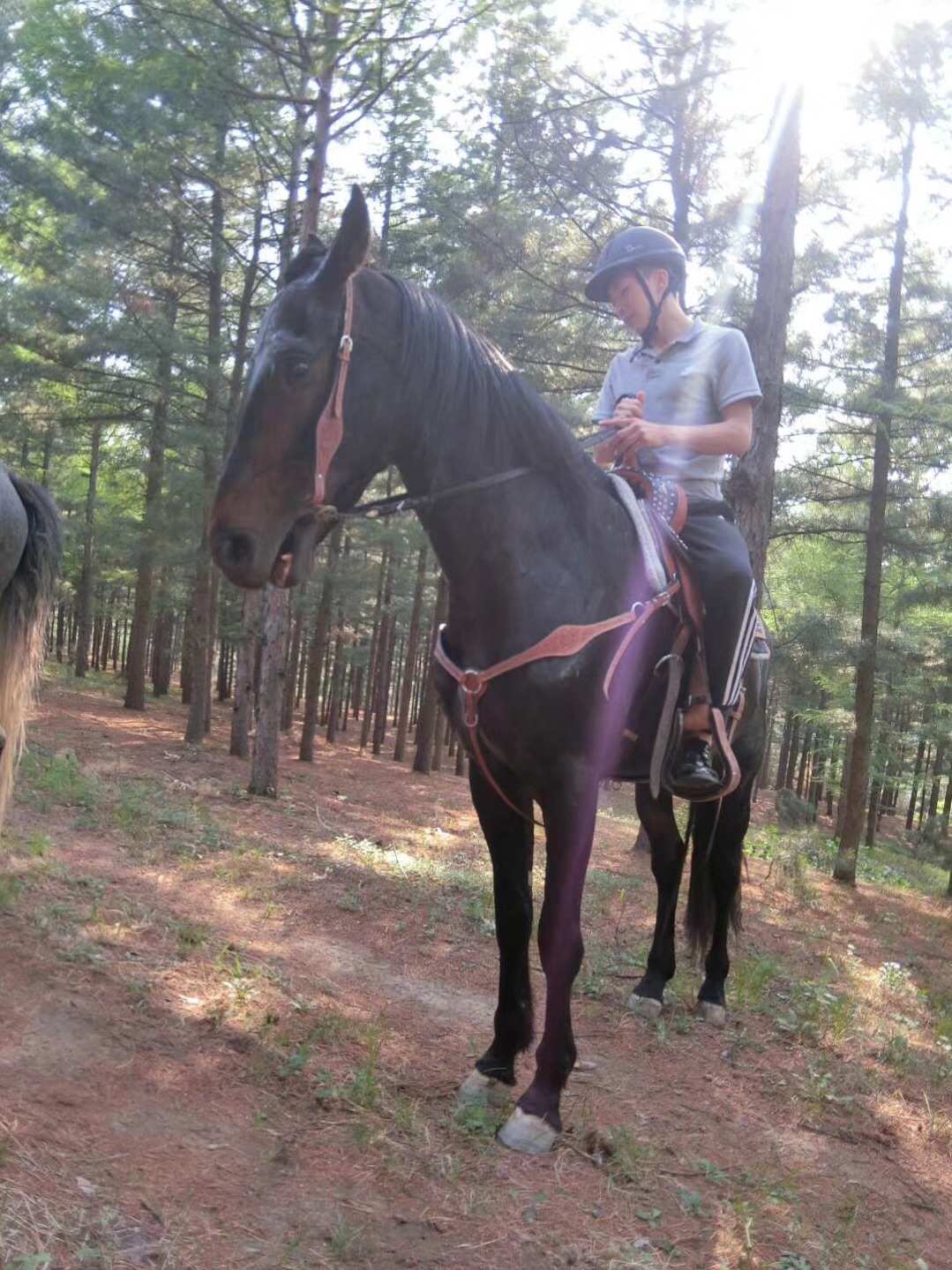 爱情中拒绝粘腻 反而更有魅力的生肖女