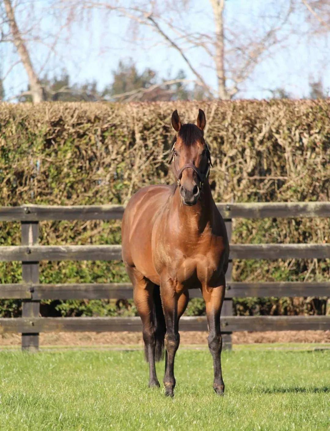 爱情中拒绝粘腻 反而更有魅力的生肖女 风花雪月是什么生肖_女教授的魅力中字下载_什么生肖女拒绝所有暧昧