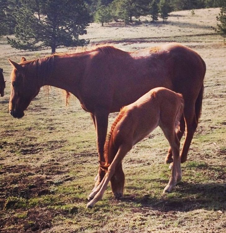 爱情中拒绝粘腻 反而更有魅力的生肖女 什么生肖女拒绝所有暧昧_风花雪月是什么生肖_女教授的魅力中字下载