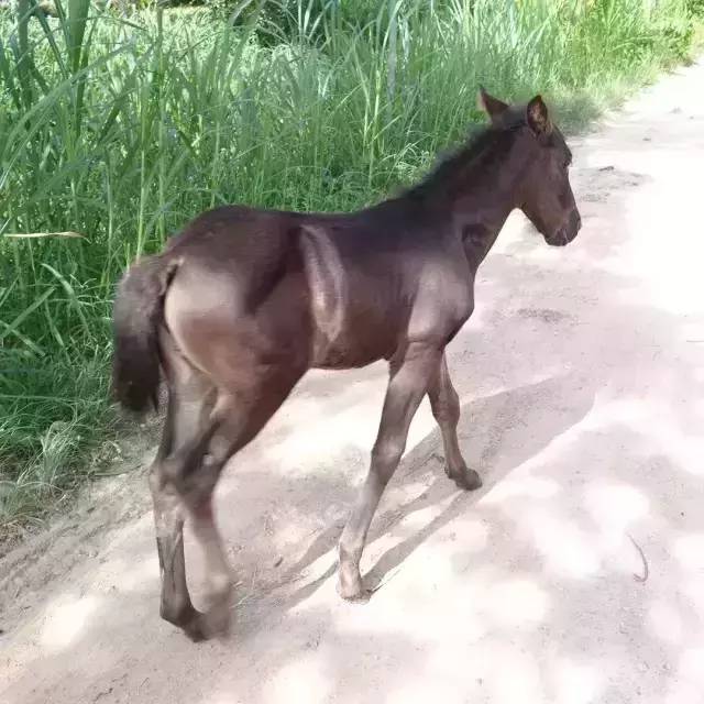 马宝宝有趣的小外号_爱帅宝宝本人新浪微博_马宝宝