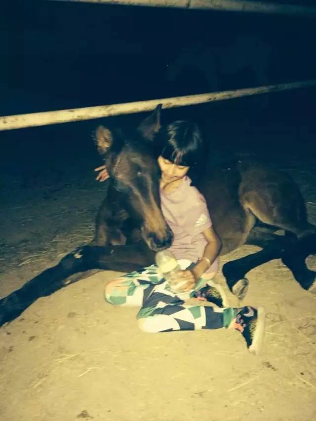 马宝宝_马宝宝有趣的小外号_爱帅宝宝本人新浪微博