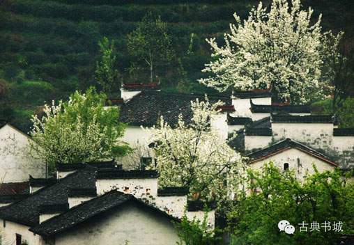 南北·民居 民居民宿_民居_民居房屋图片