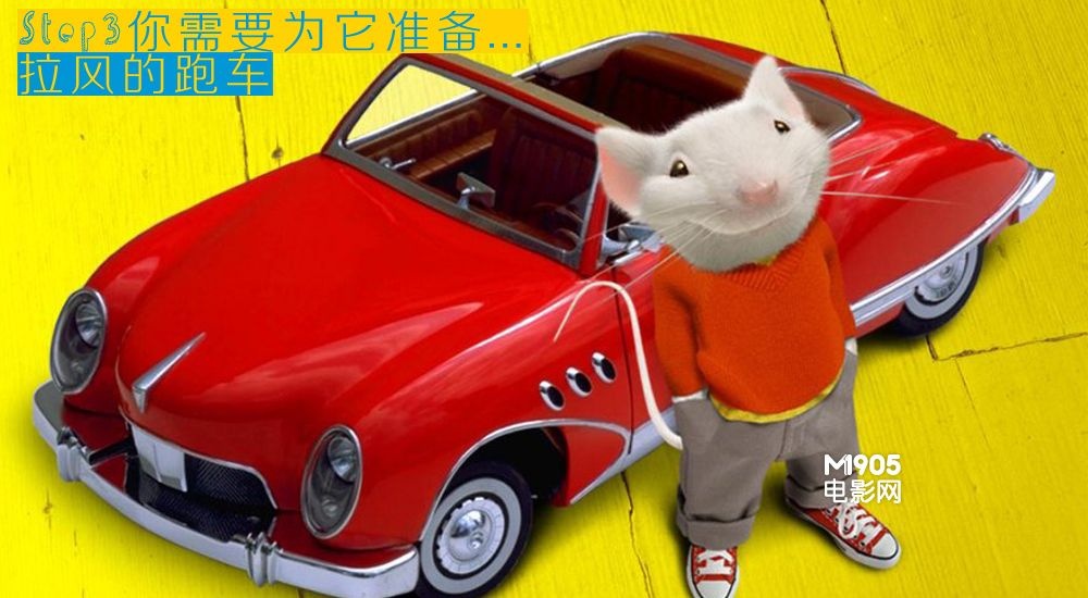 解读《少年派》:老虎、食人岛和狐獴的真相 理查德帕克为什么没回头_理查德帕克_理查德帕克真实故事