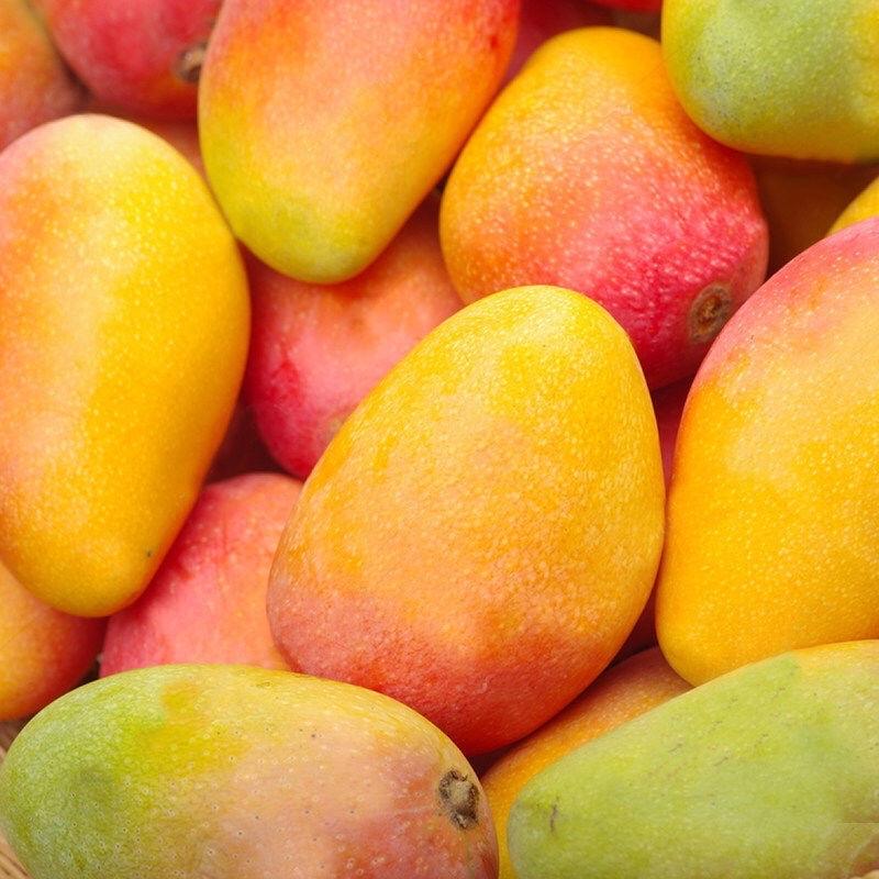 海南三亚五一假期酒店全面涨价,最低不能超过80元:告别低价游 去海南旅游要多少钱_去海南旅行需要多少钱_去海南旅游要带现金吗