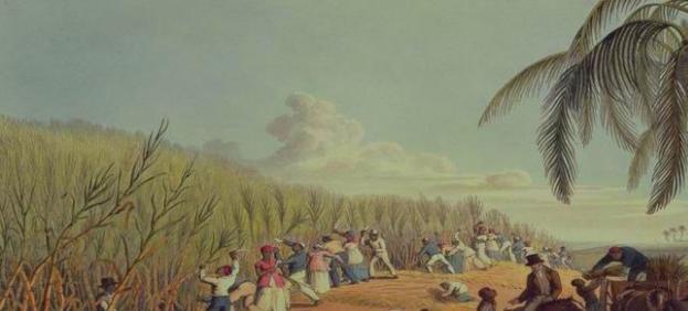 巴西500年历史嬗变(三) 巴西历史多少年_巴西历史_巴西历史简介