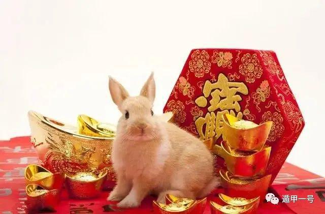 1975年属兔2023年运势及运程详解 75年出生48岁属兔人兔年每月运程如何 属兔人本年运程_属兔人的全年运势_2021兔人的全年运势