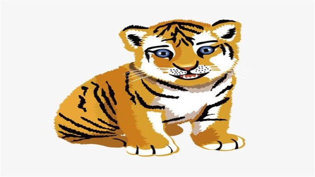 天生克属虎人的三大生肖,影响生肖虎运势,你都知道是哪几个吗? 天生星座查询_天生星座_天生星座查询月亮星座