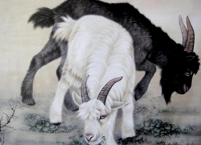 令男人越爱越深,不可能背叛的3大生肖女