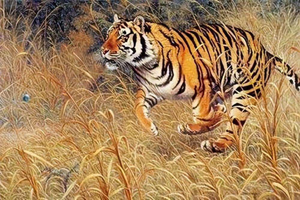 生肖虎和谁合不来?最欣赏的是谁? 蛇和什么属相最配_属相蛇配猴好不好_属相蛇配蛇好吗