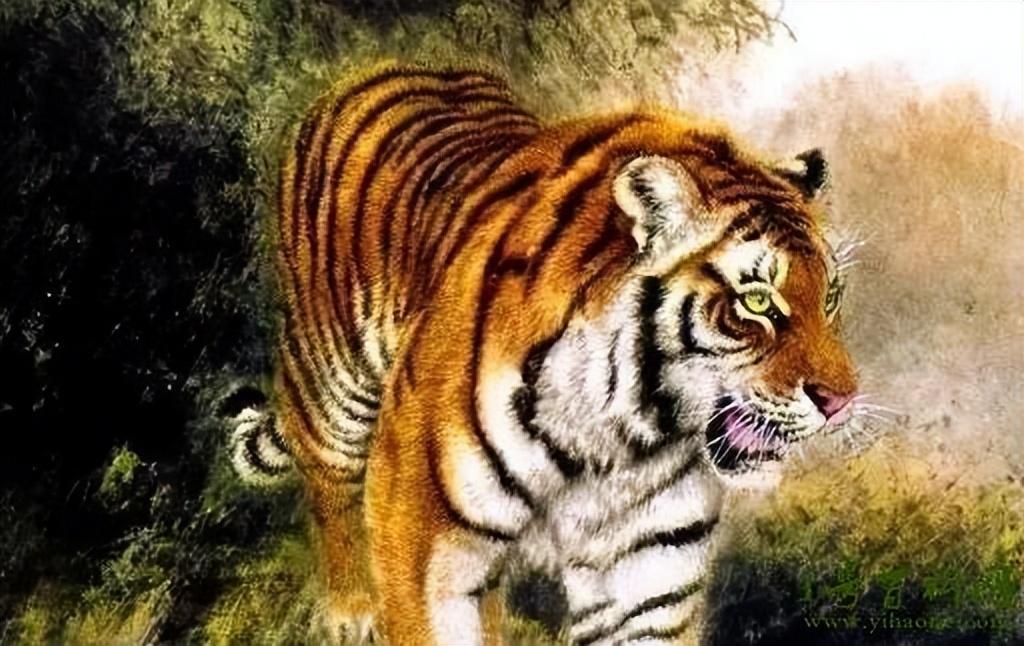 生肖虎和谁合不来?最欣赏的是谁? 属相蛇配蛇好吗_蛇和什么属相最配_属相蛇配猴好不好