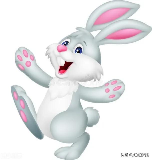 生肖蛇与生肖兔有什么差别?谁更厉害? 属相蛇配马好吗_属相蛇配什么属相最好_蛇和什么属相最配