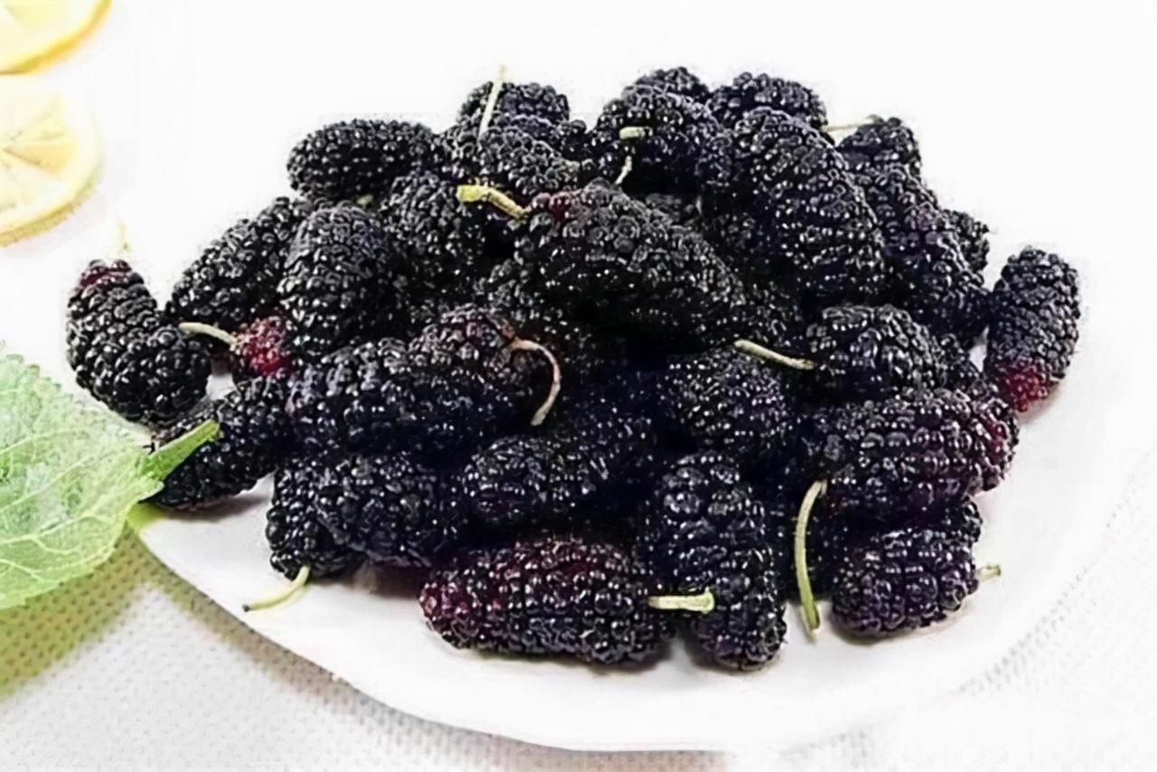 这些食物“补肾”效果还不错,男性朋友要多吃,或能增加不少魅力 补肾的食物有哪些_食物补肾有用吗_食物补肾有哪些