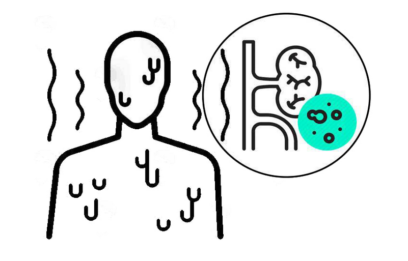 医生坦言:别再乱补肾!吃对5种食物,强肾健体,提升活力