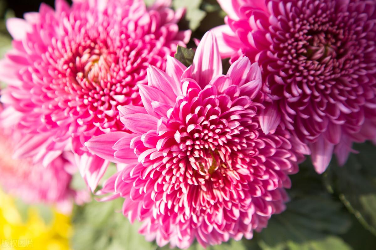 巨蟹座喜欢一个人的表现,以及教你如何拿捏巨蟹座! 巨蟹男的性格和脾气_巨蟹男偏爱哪类女生_巨蟹男