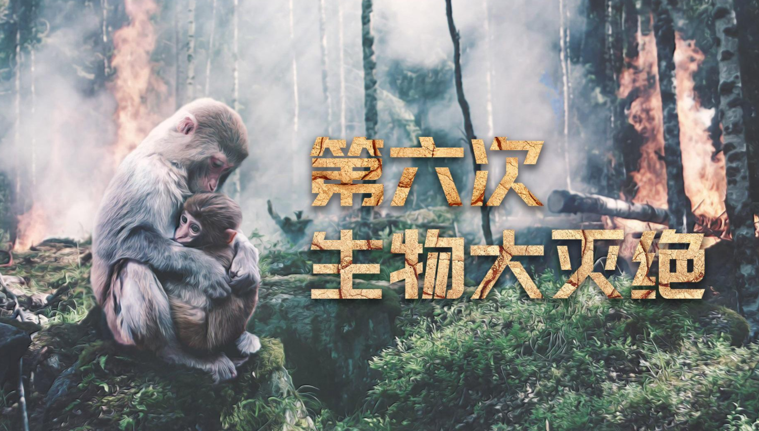 死亡之钟_耳朵死亡之钟_死亡之钟是怎么回事