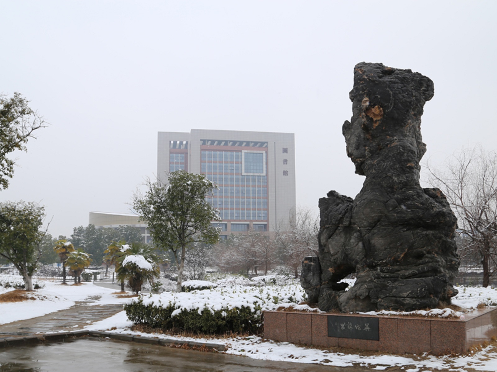 官方支持!安徽将新增一所医学本科院校!可能会更名为合肥医学院 安徽大学医科专业_安徽大学医科大学_安徽医科大学