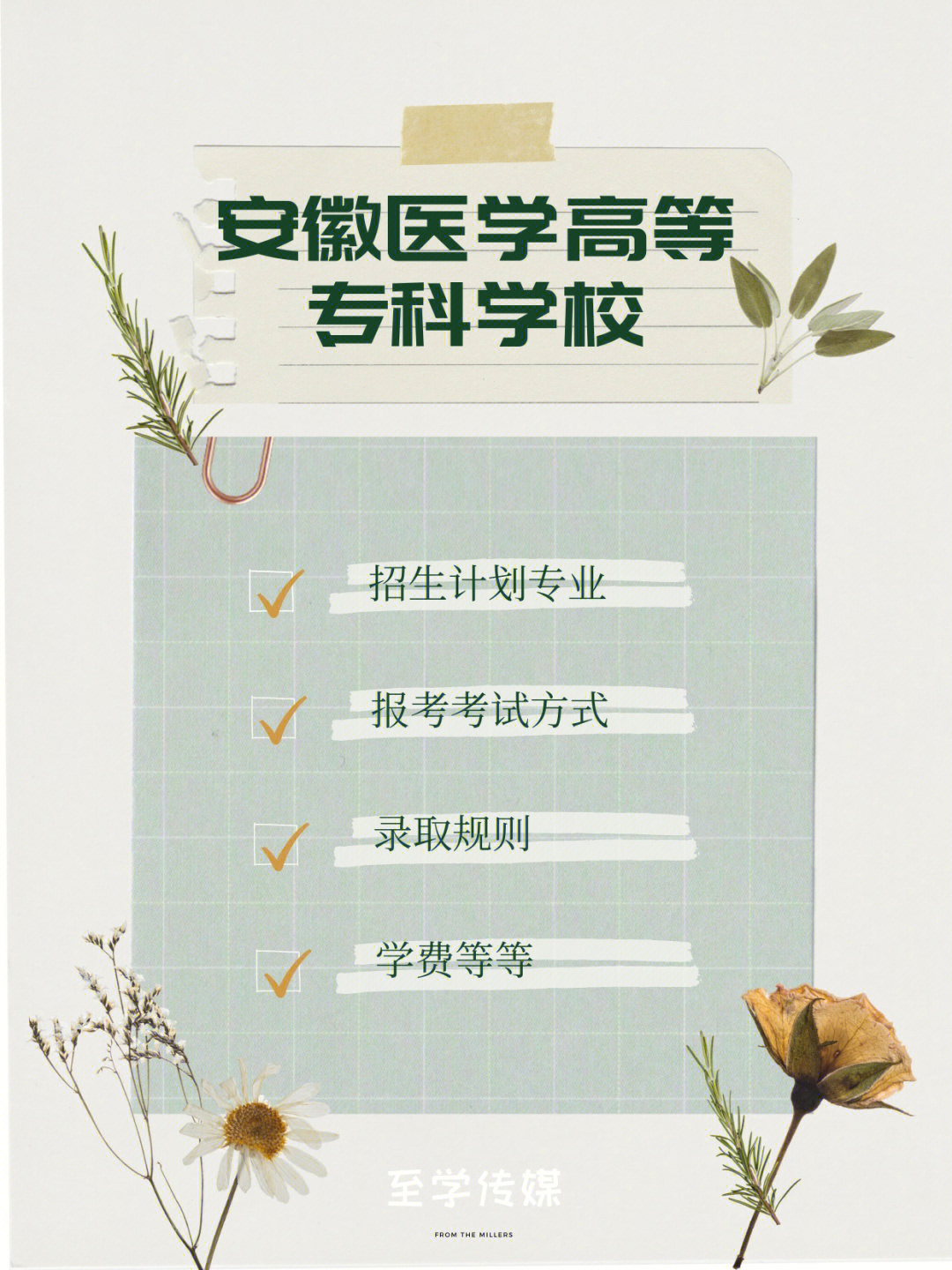 官方支持!安徽将新增一所医学本科院校!可能会更名为合肥医学院 安徽大学医科大学_安徽医科大学_安徽大学医科专业