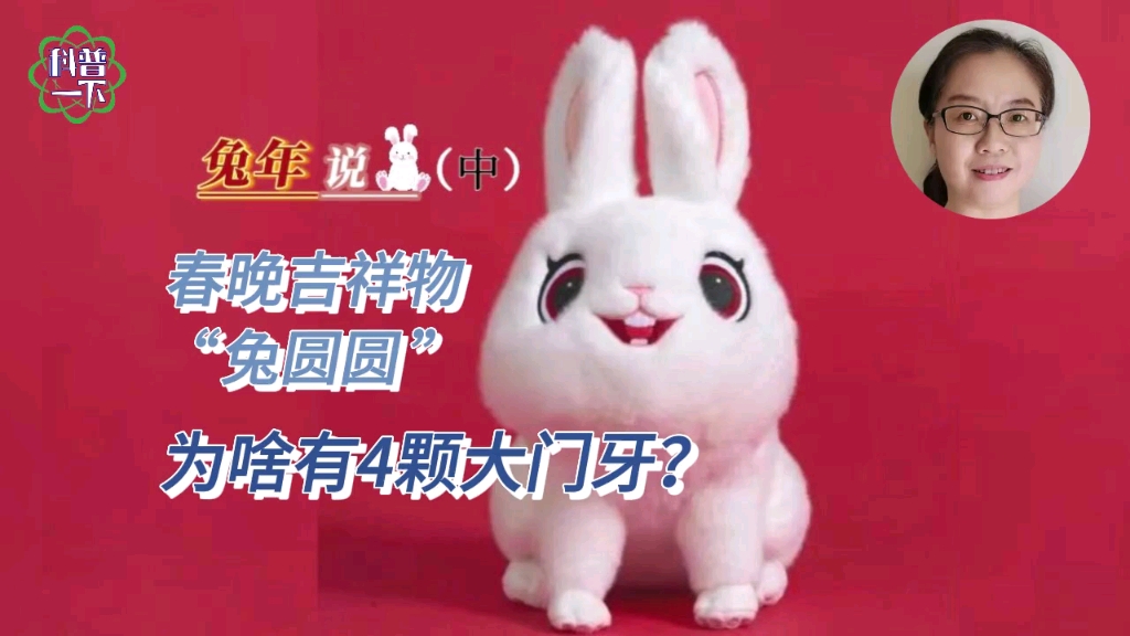 官宣!“兔圆圆”正式亮相 什么生肖五色_五色目迷的意思_目迷五色是什么生肖