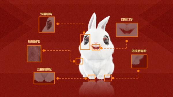 官宣!“兔圆圆”正式亮相 目迷五色是什么生肖_什么生肖五色_五色目迷的意思