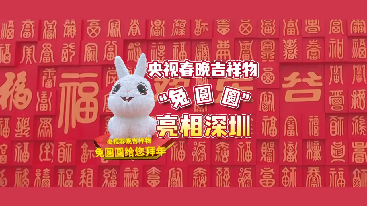 官宣!“兔圆圆”正式亮相 目迷五色是什么生肖_什么生肖五色_五色目迷的意思