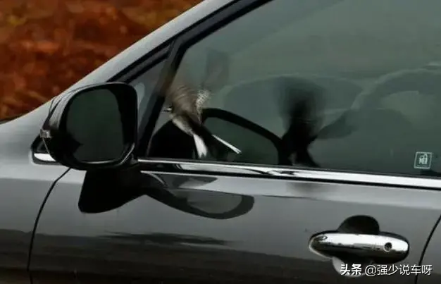 交警通知:车上一旦发现这些标记,别犹豫赶紧离开,能报警就报警 小偷记号标志_小偷的记号_小偷记号含义图解