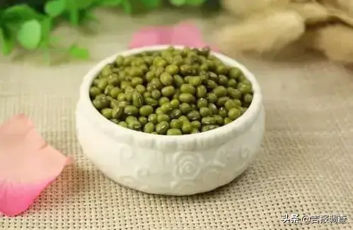 怀孕能喝绿豆汤不?医生给予肯定答复!附赠风味绿豆粥做法 孕妇去火最快的方法_孕妇怎么去火_孕妇去火喝什么好