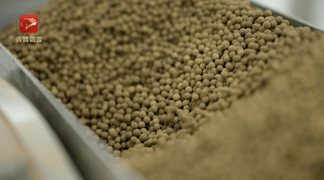 大显身手看民企⑫ | “药”传统 “药”青春 “药”未来 韩先楚手下有孟发财_孟发财_发财添丁还是添丁发财