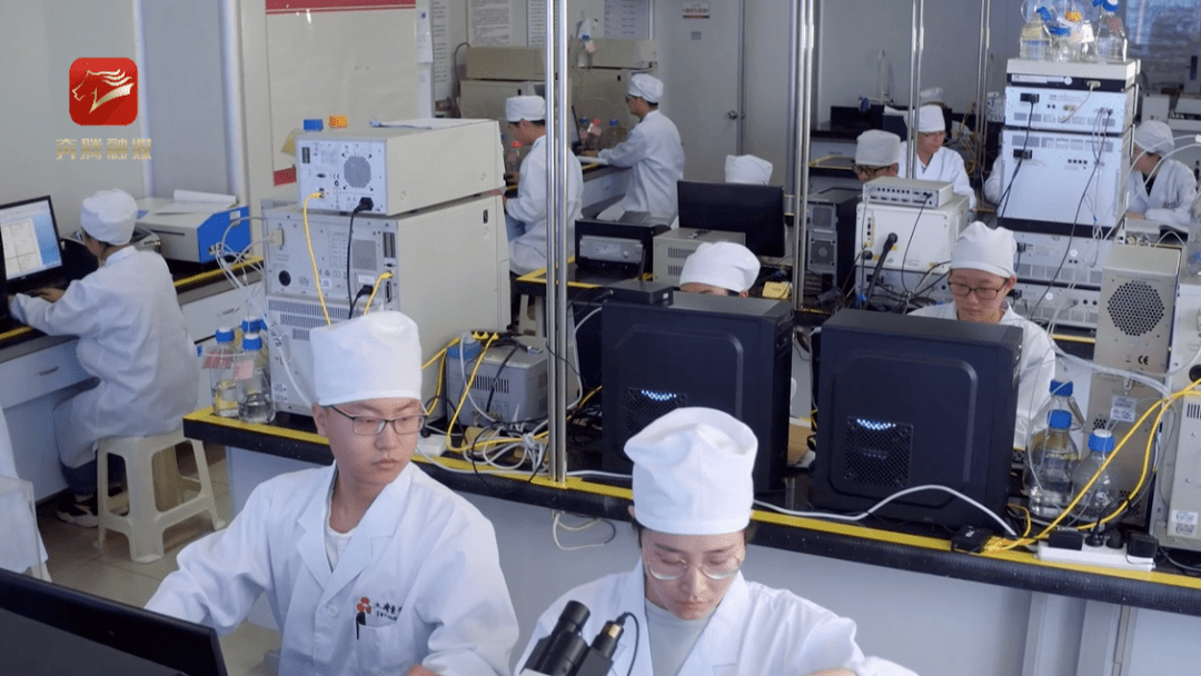 大显身手看民企⑫ | “药”传统 “药”青春 “药”未来 孟发财_发财添丁还是添丁发财_韩先楚手下有孟发财